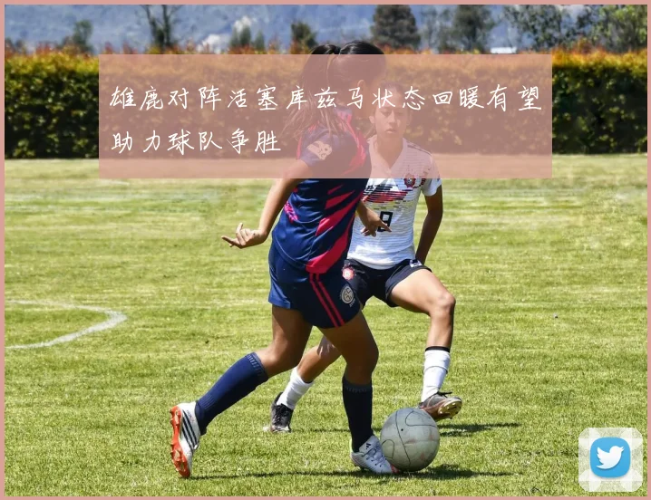 雄鹿对阵活塞库兹马状态回暖有望助力球队争胜